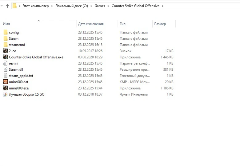 Папка установки CS GO
