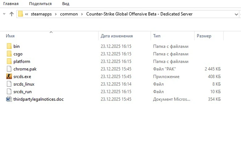 Папка CS GO как на стиме